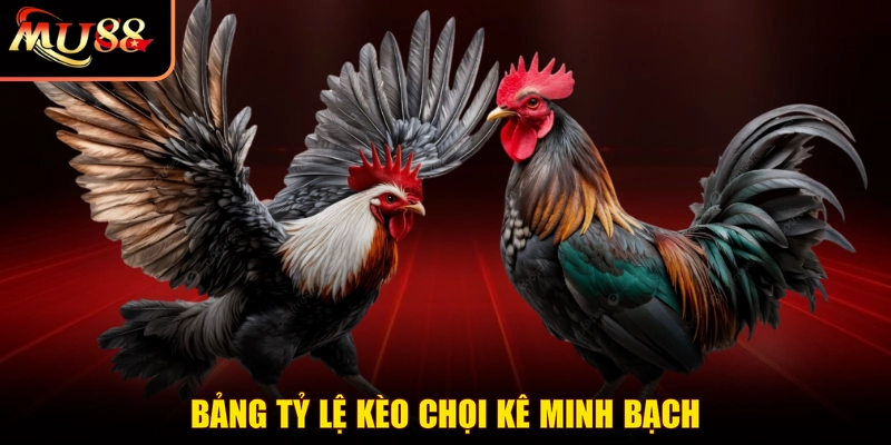 Bảng tỷ lệ kèo chọi kê minh bạch