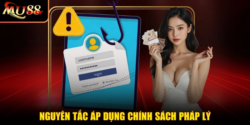 Nguyên tắc áp dụng chính sách pháp lý