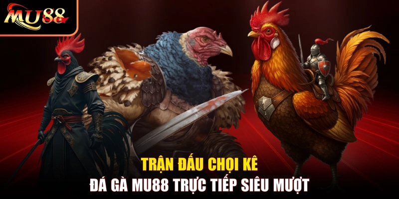Trận đấu chọi kê Đá gà MU88 trực tiếp siêu mượt